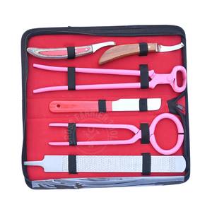 Kit complet d'outils de soin des sabots de cheval pour fermeur, comprenant : Testeur de sabots, Coupe-sabots de 15 pouces, Couteau à sabots, Râpe, Boucle à abcess et Couteau à sabots courbé - Product Image 1