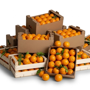 Oranges Navel fraîches soigneusement sélectionnées, fournies en cartons en vrac pour les importateurs de fruits frais, au goût sucré et emballage soigné. - Product Image 5