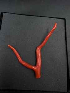 Cuentas de Coral Rojo de Rajastán 100% Naturales, Gema en Bruto para Joyería, Forma de Árbol, 14ct - Product Image 3