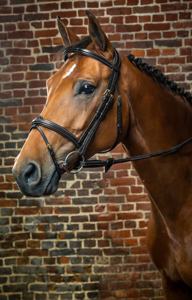 لجام هندي الصنع مريح بتصميم تشريحي مع حزام أنف مرن، مصنوع من الجلد الإيطالي، مزين بتصميم مربع بارز قابل للإزالة حسب الطلب - Product Image 4