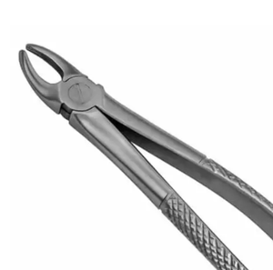 Forceps d'extraction dentaire de haute précision, réutilisables, en acier inoxydable, instrument chirurgical d'extraction - Product Image 1