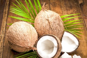 Vietnam Fresh Coconut Sweet Water and Soft Meat - Product Image 6