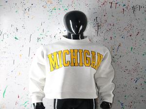 Sweat-shirt à col montant gris cendré MICHIGAM 100% jaune avec broderie appliquée, col large, URBAN PRODUCTIONS - Product Image 6