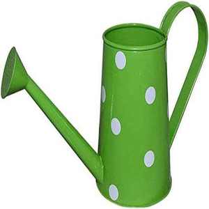 Regadera de Metal Hecha a Mano con Forma Personalizada, Regadera de Diseño Clásica y Elegante, Regadera de Metal Galvanizado al por Mayor - Product Image 5