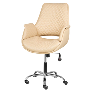 Silla Plegable de Cuero/Metal/Madera/Cuero PU, Estilo Moderno Francés Minimalista Tradicional, Color Personalizado, Ajustable, para Salón de Belleza - Product Image 6