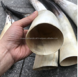 High Quality Handcrafted <b>Drinking</b> <b>Standing</b> Horn for Restaurants Hotels Bars Use <b>Drinking</b> Horn From India - Product Image 2