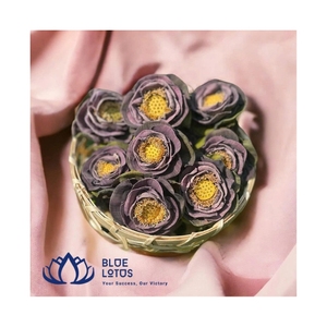 Fleurs de lotus séchées 2026 les plus vendues – Qualité supérieure pour infusion de thé et décoration florale – Ingrédients végétaux purs – Exportation - Product Image 1