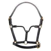 Annabelle Equestrian, fabricante mayorista de cabestros de cuero para caballos con logotipo personalizado, cabestros occidentales, cabestros modernos y únicos. - Product Image 2