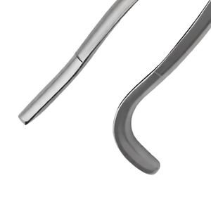 Pinzas de Extracción de Dientes de Lobo Equinos, 11 Pulgadas, Mango con Gancho, Instrumento Quirúrgico Veterinario para Extracción de Dientes de Caballo - Product Image 5