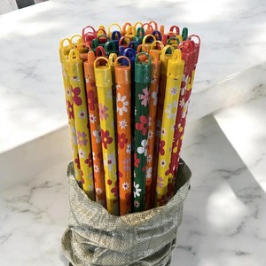 Vietnam Wholesale Eco-friendly Durable Lightweight Waterproof All-Color PVC Pipe Dustpan Coated Wooden Mop Stick Flower Home - Product Image 6