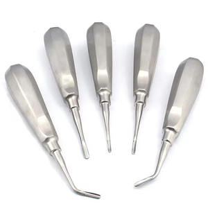 Precio Económico: 10 Elevadores Dentales Manuales de Acero Inoxidable Curvos para Extracción de Raíces, Fórceps para Extracción Dental, Instrumentos CE - Product Image 2