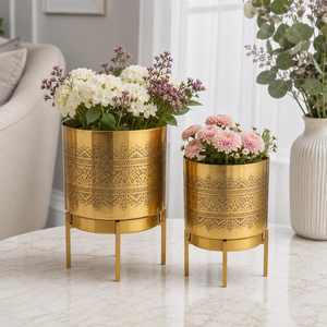 Pot de fleurs élégant gravé avec support pour plantes d'intérieur, jardinière décorative surélevée pour salon, bureau, entrée, chambre - Product Image 1