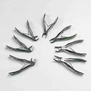 Ensemble de 7 forceps dentaires manuels en acier inoxydable de haute qualité, poignée ergonomique, utilisation chirurgicale générale, classe I - Product Image 5