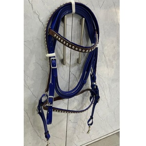 Juego de Brida para Caballo de PVC con Tachuelas Metálicas Azul Marrón Biothene, con Cabezalera y Correa Nasal a Juego, Impermeable, en 4 Tamaños - Product Image 1