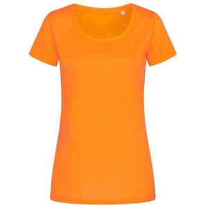 T-shirt à col rond et manches courtes en coton 100% - Jersey en coton 100% - Coupe décontractée - Respirant - Longueur normale - Couleur unie - Toutes saisons - Product Image 5