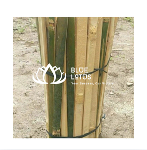 Varillas de Bambú Natural Premium Blue Lotus de 50 cm y 5-6 mm de Diámetro, Material Crudo Secado al Sol para Fabricación de Cometas - Product Image 1