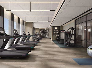 Design di Palestra Funzionale SK con Zone Dedicate per Allenamento Cardio, Forza e Attrezzature per Fitness Funzionale - Product Image 2