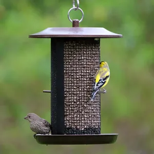 Comedero para pájaros de bronce personalizado, de doble cámara, de metal y malla de cobre, para colgar al aire libre, a precio de mayorista. - Product Image 2
