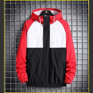 Chaqueta de Invierno Formal para Hombre, con Capucha, Ligera, Plegable, de Poliéster, Impermeable, Personalizable, de Alta Calidad, Nuevo Diseño 2026, MOQ Bajo - Product Image 4