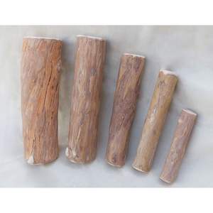 Bâton à mâcher pour chien en bois dur écologique, durable, en bois de canephora, jouet à mâcher pour animaux de compagnie - Product Image 1