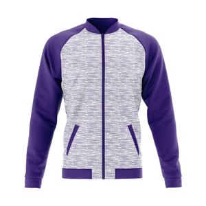 <b>Men's</b> <b>Blue</b> Striped Varsity Jacket Full Zip Sporty Style Regular Fit Autumn Wear Quick Dry Breathable Polyester Material - Product Image 2