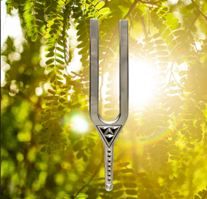 Mars Hot Selling 216Hz Giant DNA Key Tuning Forks for Yoga Laboratory Use with <b>vibration</b> therapy.. - Product Image 5