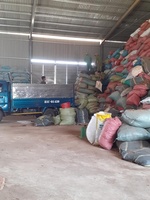 Polvo de Joss y Polvo de Makko Directo y Económico, Precio de Fábrica al por Mayor para la Fabricación de Incienso y Exportación de Varillas de Incienso