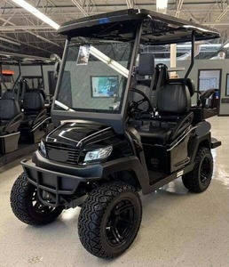 2023 BINTEL 4PR LIFTED GOLF <b>CARTS</b> Assembly Hand <b>Tools</b> for Beyond Use - Product Image 1