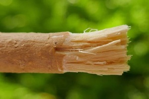 Palitos de Miswak Naturales al por Mayor para Minoristas, Palitos Tradicionales para el Cuidado Dental con Miswak, Solución Natural para la Higiene Bucal - Product Image 2