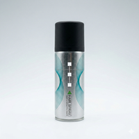 Mini spray capillaire OEM pour les voyages |   Spray aérosol coiffant et fixant portable à tenue forte – Vente en gros