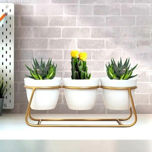 Macetas Metálicas Hechas a Mano para Jardín, Artículos Decorativos Disponibles a Precio de Mayoreo de un Fabricante Indio - Product Image 3