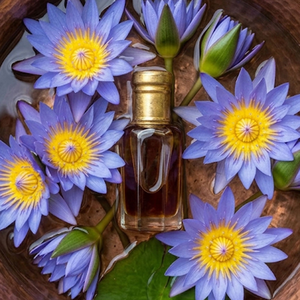 Natural Blue Lotus Attar 100% Pure Floral Perfume Oil Medium Consistency Viscous Liquid Meena Perfumery <b>Sweet</b> Fresh Fragrance - Product Image 2