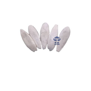 Meilleures ventes : Complément alimentaire durable de haute qualité à base d'os de seiche, minéral de calcium pur à absorption rapide pour oiseaux, export en vrac - Product Image 1