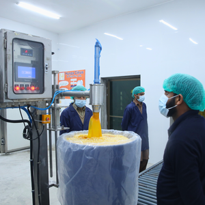 Jus concentré de Kinnow (mandarine) surgelé, qualité supérieure, durée de conservation 1 an, emballage en fût pour l'industrie agroalimentaire - Product Image 3