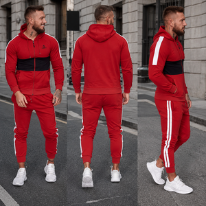 Custom Streetwear Style <b>Zip</b> Up <b>Hooded</b> Tracksuit Premium Casual Jogger Set OEM ODM Private Label Factory - Product Image 2