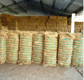 Fibre de coco avec une forte capacité d'absorption d'eau et des propriétés ignifuges pour la conception de brosses à matelas en corde et d'articles de rembourrage. - Product Image 5