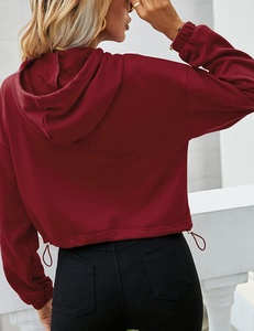 Offre Spéciale mode crop top à manches longues femmes sweat à capuche en velours tissu rose tenues deux pièces plussize courtes ensemble Prix raisonnable - Product Image 2