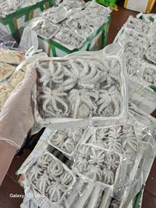 Pulpo Bebé Congelado, Suministro de Mariscos de Alta Calidad, Exportación a Granel - Product Image 3