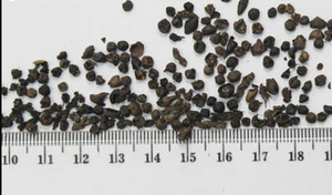 Pimienta negra vietnamita de alta calidad, granos de pimienta a granel, MC Asta, preguntas frecuentes, fiabilidad para sabor caliente y picante, producto individual de hierbas y especias - Product Image 2