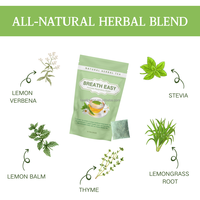 Té Natural OEM Breath Easy para la Inmunidad, Digestión y Eliminación del Mal Aliento, Té Herbal con Sabor Fresco para Fumadores, Bolsita para el Cuidado Pulmonar