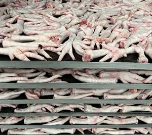 Best Quality Frozen Chicken Paws Organic Halal Certified Bulk Packed with Vitamins Fat and Wing Parts for Sale Austria - Product Image 1