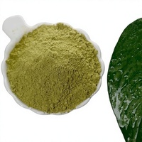 Polvo de Hoja de Henna al por Mayor OEM de Calidad, 100% Puro y Natural, Polvo de Lawsonia Inermis para Tinte de Cabello, Grado Cosmético