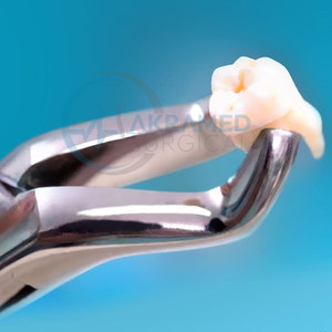 Pinzas de Extracción Dental de Precisión para Cuidado Higiénico Confiable, Pinzas de Extracción Dental de Calidad Confiable - Product Image 2
