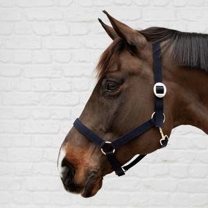 Equestrian Horse Riding PVC <b>Halter</b> Stainless Steel Bits Bridle and <b>Halter</b> for Horse - Product Image 2