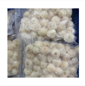 Lychees entiers surgelés IQF, emballés sous vide, qualité supérieure, sans sucre ajouté, fruits tropicaux, vente en gros, Vietnam 99 Gold Data Ha - Product Image 1