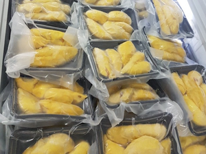 Durian Congelado sin Semillas en Oferta, Pulpa IQF de Calidad de Exportación - Product Image 6