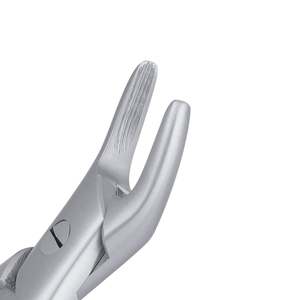 คีมถอนฟันแบบฟันเลื่อย 76S Upper Roots ทำจากเหล็กกล้าไร้สนิม สำหรับการผ่าตัดช่องปาก - Product Image 5