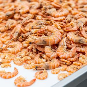 Crevettes séchées riches en protéines, approvisionnement en gros, crevettes séchées aux arômes riches pour les industries agroalimentaires dans le monde entier - Product Image 5