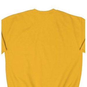 Sweat-shirt à capuche de qualité supérieure 1913 personnalisé 100% coton avec broderie en chenille, design doublé, prêt pour l'hiver, unisexe - Product Image 2