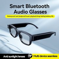 Gafas Inteligentes con Cámara de 500W Píxeles, Grabación de Video, Reducción de Ruido, Reconocimiento por IA, Traducción en Tiempo Real
